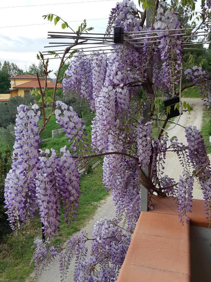 Il Glicine Bed and Breakfast Chieti Buitenkant foto